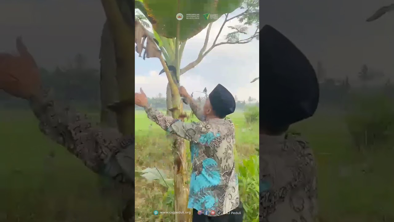YouTube player