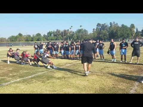 Fullerton takes Capo in a tug of war!