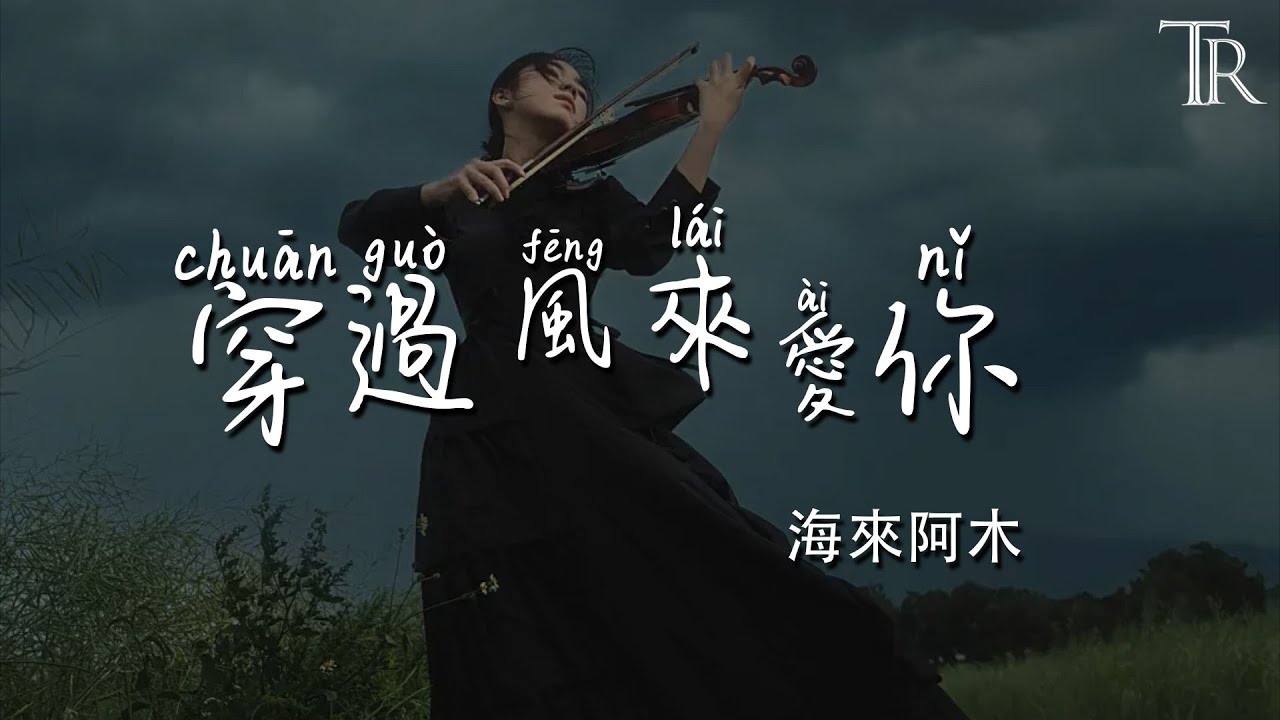 穿過風來愛你 - 海來阿木『Chuan Guo Feng Lai Ai Ni - Hai Lai A Mu』#無損音樂