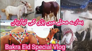 Eid UL udha ki Tayariyan| Qurbani k Janwar Ae Humare Muhle m| Bakra Eid Special Vlog