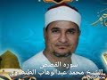 سوره القصص للشيخ محمد عبدالوهاب الطنطاوى