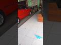 Dikejar Dinosaurus 😱 #shorts #funny #comedy