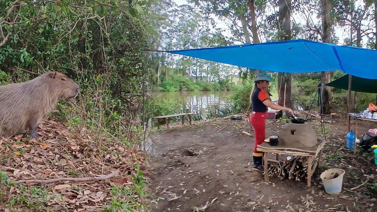Pescaria é acampamento na barranca do rio Tivemos visita de animai selvagem no acampamento 