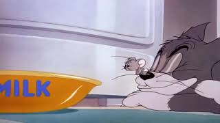 Tom and jerry new episode hindi cartoon ...