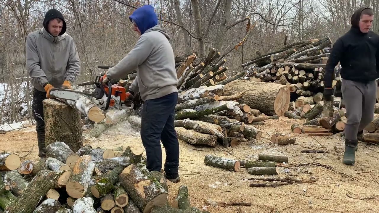 One Wrong Cut with STIHL Can End Everything