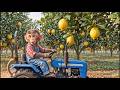 Baby monkey drives JCB tractor to harvest ripe yellow passion fruit in the garden