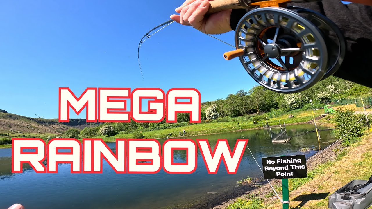 May’s MEGA RAINBOW at Wales 🏴󠁧󠁢󠁷󠁬󠁳󠁿 BIG FISH Stillwater Fly Fishing