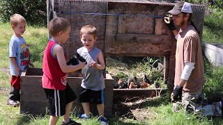 Moving Chicks to Larger Brooder Outside The Baby Chicks Move To Their Bigger Brooder