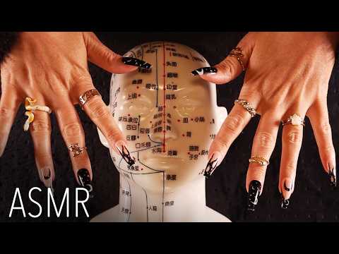ASMR Acupuncture Mannequin Head Tapping & Scratching (🎧 soft spoken/whisper, fast & gentle) Kenneth