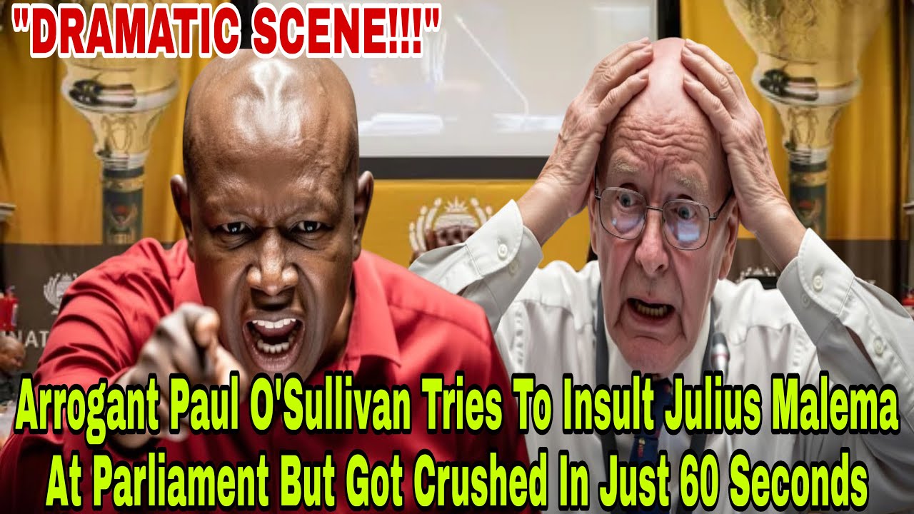 I'LL NOT BE INTERVIEWED BY MEMBERS OF A PARTY FOUNDED BY A CRIMINAL - Paul O'Sullivan Insults Malema