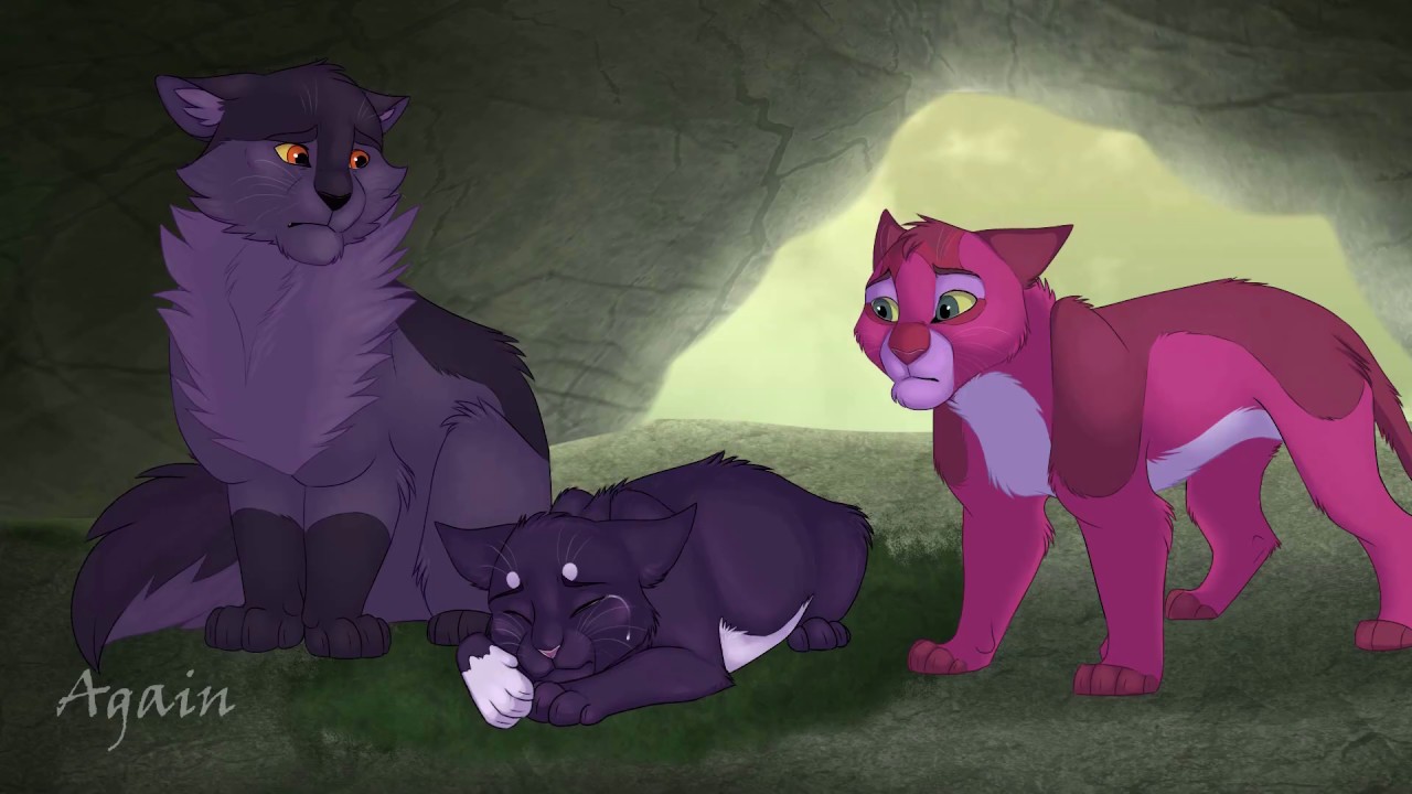 The Birds Are Singing At Night - MAP Part 6