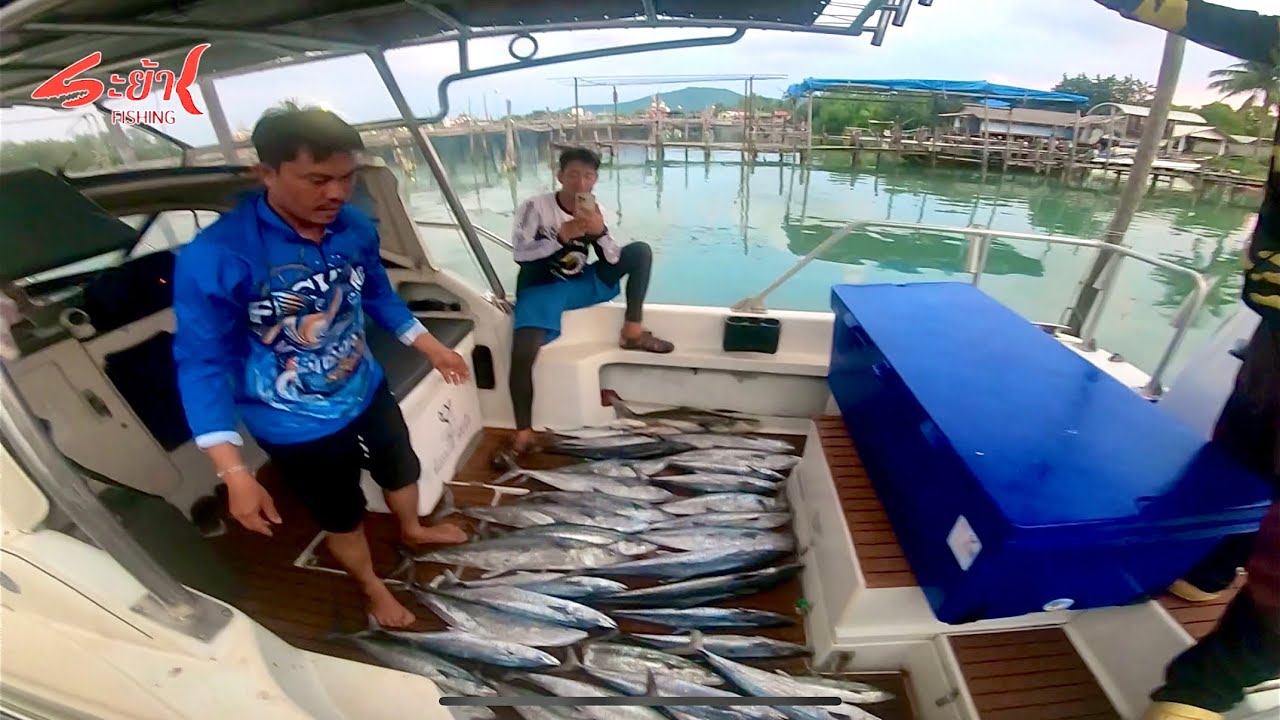 ตกปลา อินทรีย์ จ.สงขลา #ตกปลา  #จิ๊กกิ้ง #ตกปลาอินทรีย์ #shimano #daiwa #จิ๊กแคสอินทรีย์