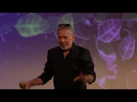 Matter and Antimatter | Prof. Jeffrey S. Hangst | TEDxDanubia thumbnail