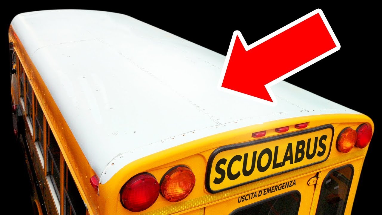 Perché gli Scuolabus hanno il Tettuccio Bianco