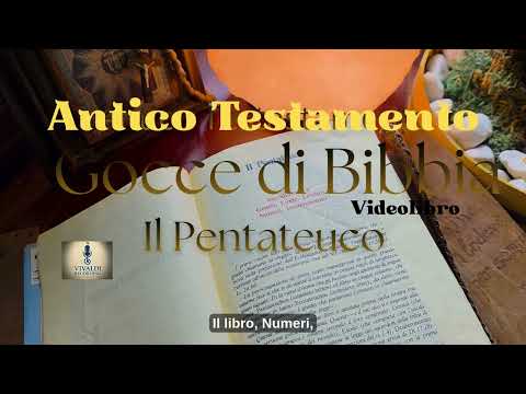 Pentateuco introduzione- Lettura Meditativa Notturna - Gocce di Bibbia, lettore Vivaldi Grazia.