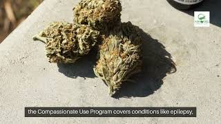 Compassionate Use Program #texas | How to Access Medical Cannabis for Qualifying Conditions