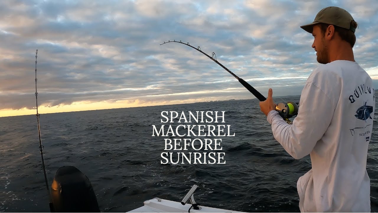 Towing Baits For Spanish Mackerel Gold Coast YouTube