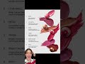 DID ARIANA GRANDE TEASE ‘PETAL’ THEOUGH R.E.M. BEAUTY