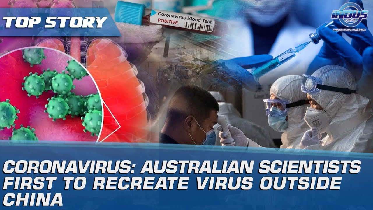 Coronavirus: Australian scientists first to recreate virus outside China | Indus News