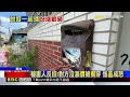 雲林花生採收價引糾紛 同行怒持棍棒砸屋、車@newsebc