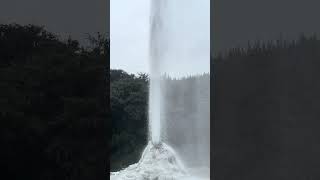 IMG 6020