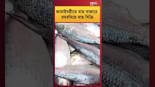 FISH DEMAND IN JAMAISASTHI | জামাইষষ্ঠীতে মাছের চাহিদা ||
