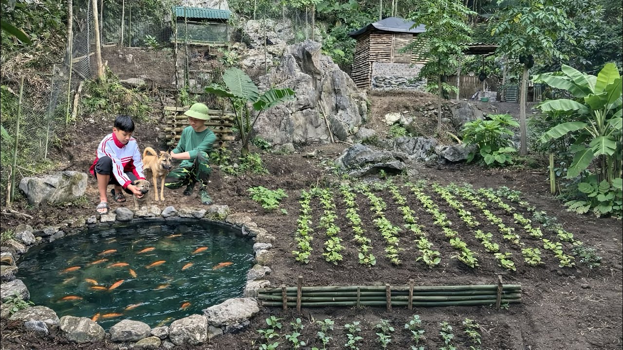 Digging a fish pond and growing vegetables, a peaceful life in the ...