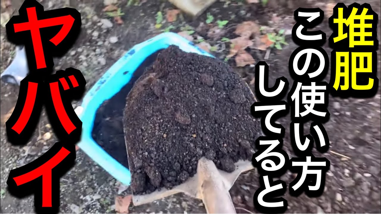【堆肥の使い方】知らないと野菜枯れます…初心者が土作りで失敗するパターン。腐葉土、バーク堆肥の注意点。牛糞、鶏糞、C/N比、炭素率、窒素飢餓、の注意点