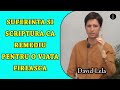 David Lela - Suferinta si Scriptura ca Remediu pentru o Viata Fireasca | PREDICA