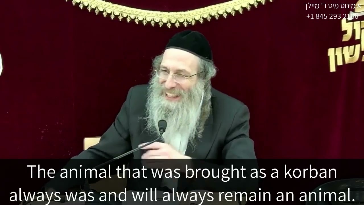 What We Learn from the Sacrifice of Animals