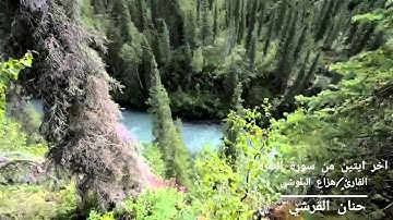 القارئ هزاع البلوشي آخر ايتين من سورة البقرة