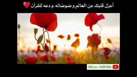 09 عبد الرحمن مسعد من سورة مريم رب السماوات والأرض وما بينهما فاعبده لا تبخل باعجاب 👍🌹❤