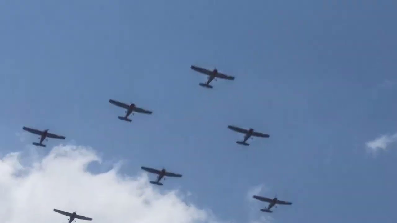T 41 cessna's and Sf 260's flyby