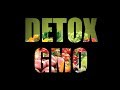 Detox GMO Chemicals From Your Body