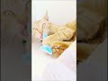 Chronicles of a Beast: CLEO KILLS PEDOPHILES