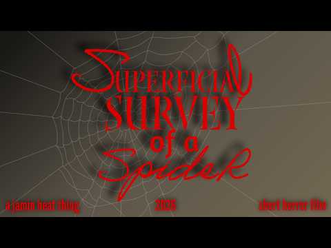 Superficial Survey of a Spider (short horror film)