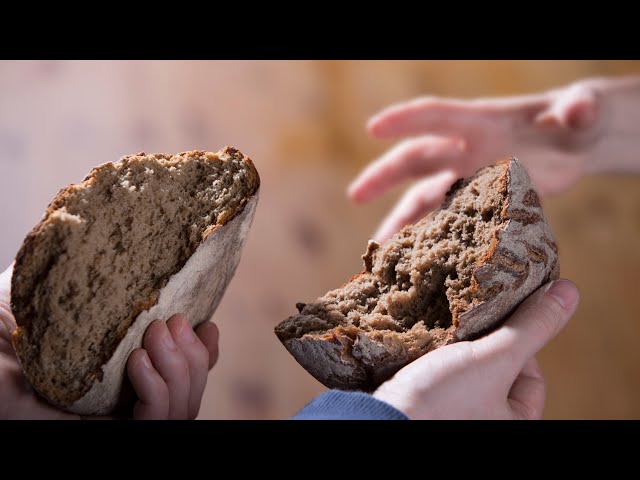 Fest des Heiligen Antonius A Messe und Predigt 2026