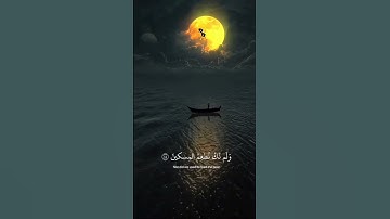 (مَا سَلَكَكُمۡ فِی سَقَرَ) ﴿سورة المدثر﴾ القارئ [شريف مصطفي] راحه نفسيه 🤍