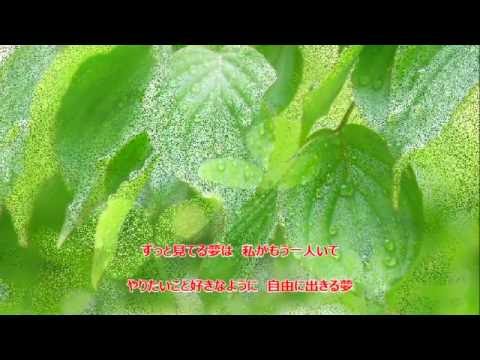 365日の紙飛行機 / AKB48    cover aki