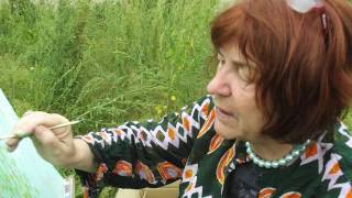 Sybilla Golec w plenerze