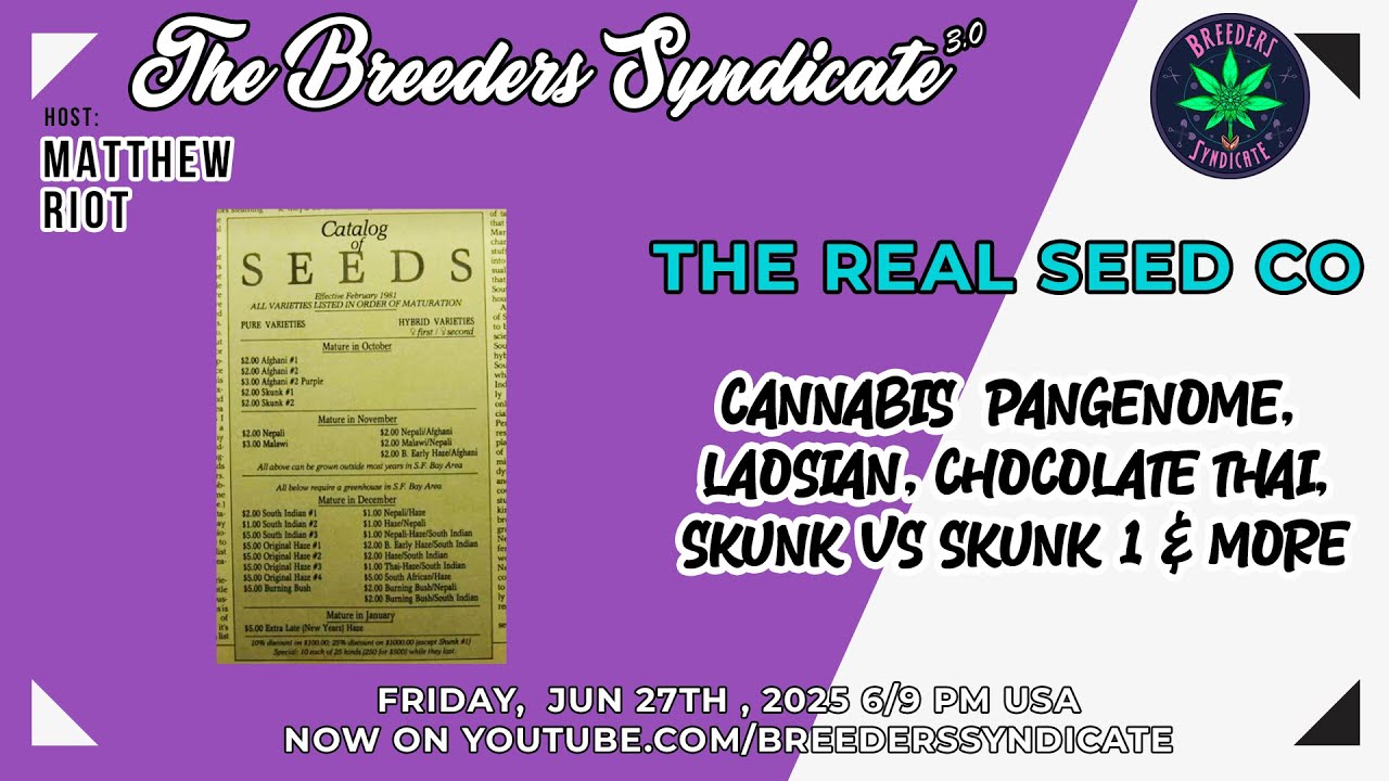 Angus from The Real Seed Co -Skunk Vs Skunk 1, Catalogs, Chocolate Thai, Cannabis Pangenome & more
