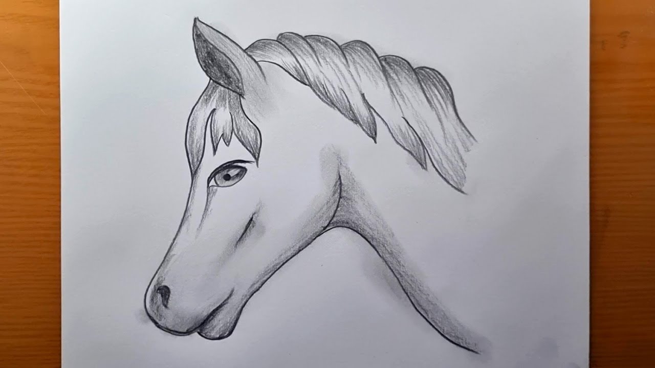 Como desenhar um cavalo passo a passo Desenho fácil a lápis Desenho ...