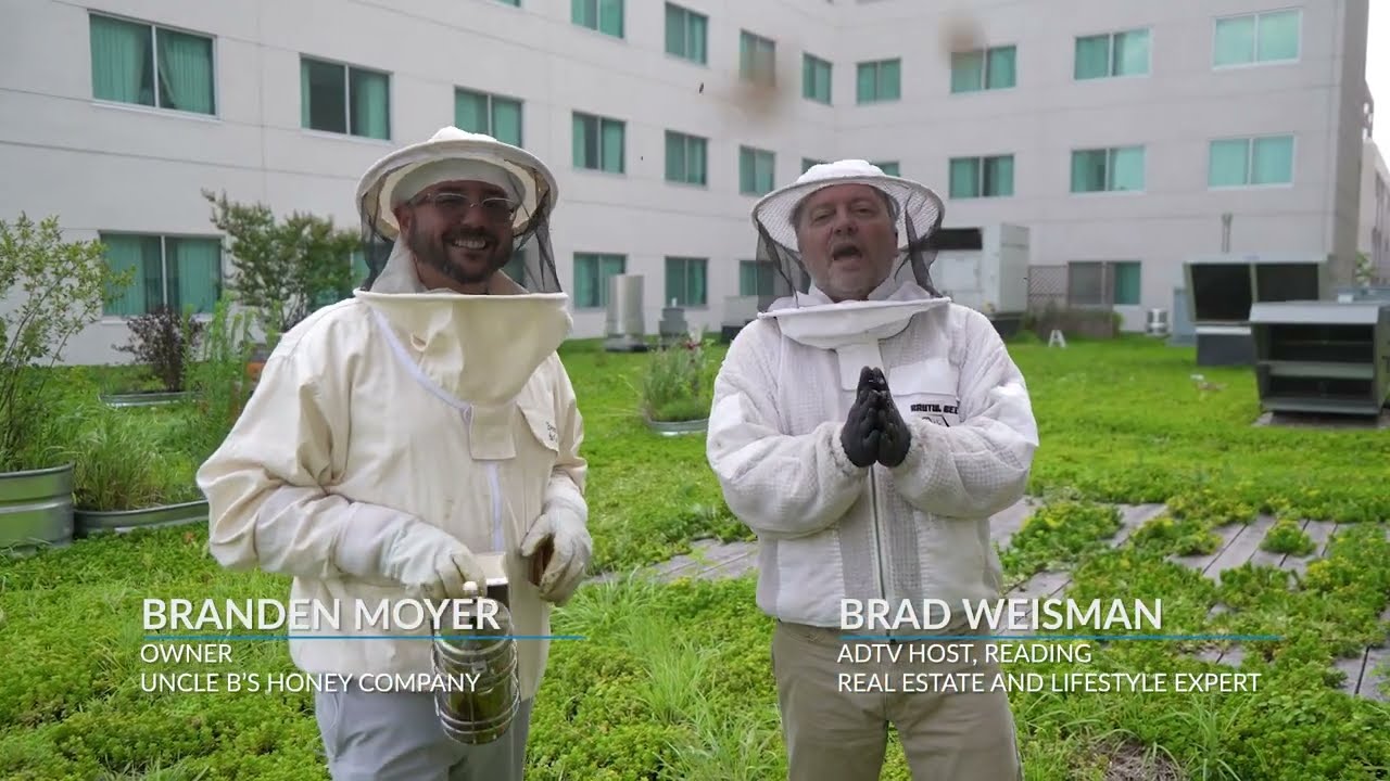 YOU WON'T BEE-LIEVE THIS EPISODE w/ Brad Weisman