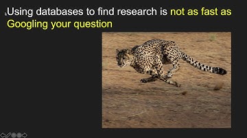 Using Databases for Research: View 1st