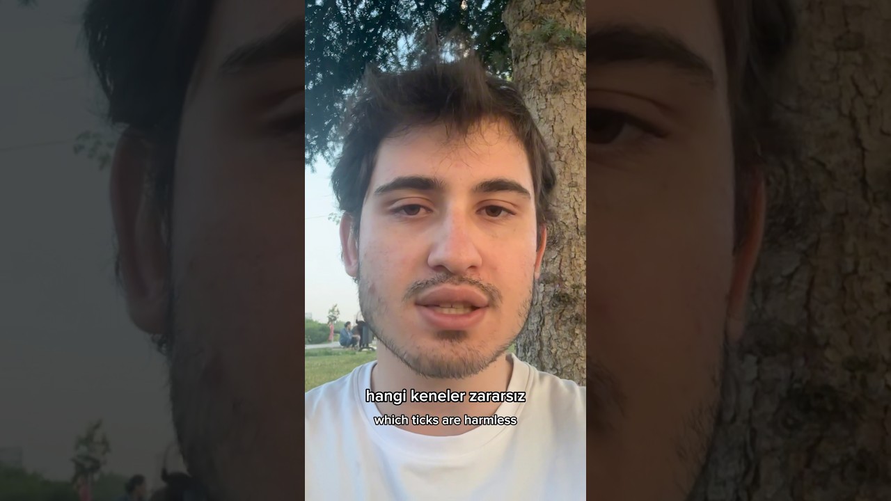 Hangi keneler zararlıdır? Kene yapıştığında ne yapmalıyız? 