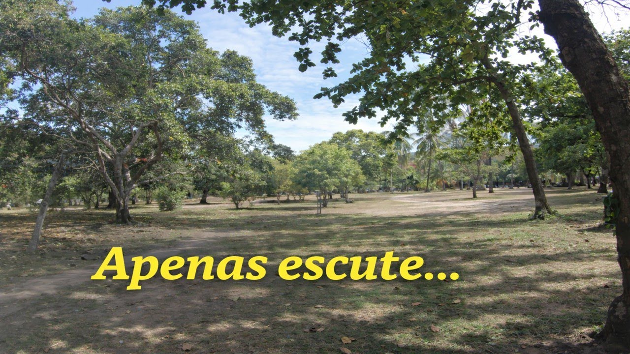 Parque do Flamengo | Caminhada Calma ao Som dos Pássaros