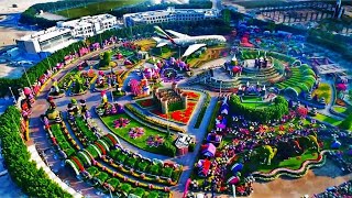 حديقة معجزة دبي (حديقة الزهور) The Dubai Miracle Garden🇦🇪