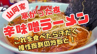 【山岡家】季節外れの寒い夜には辛味噌が最高【お勧めのセットは】