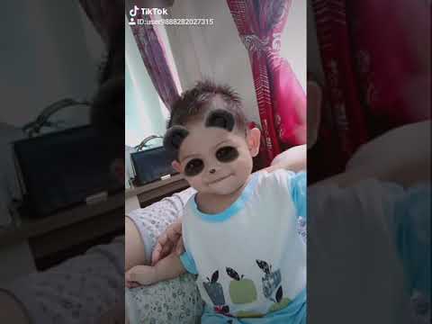 tik-tok#baby#panda#bersin#lucu#bayi#imut#pintar#