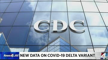 New CDC delta report warns it spreads as fast as chickenpox
